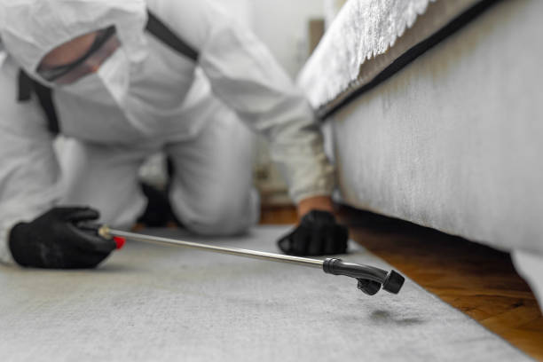 Professional Ant Control technician working in Brightwaters, NY